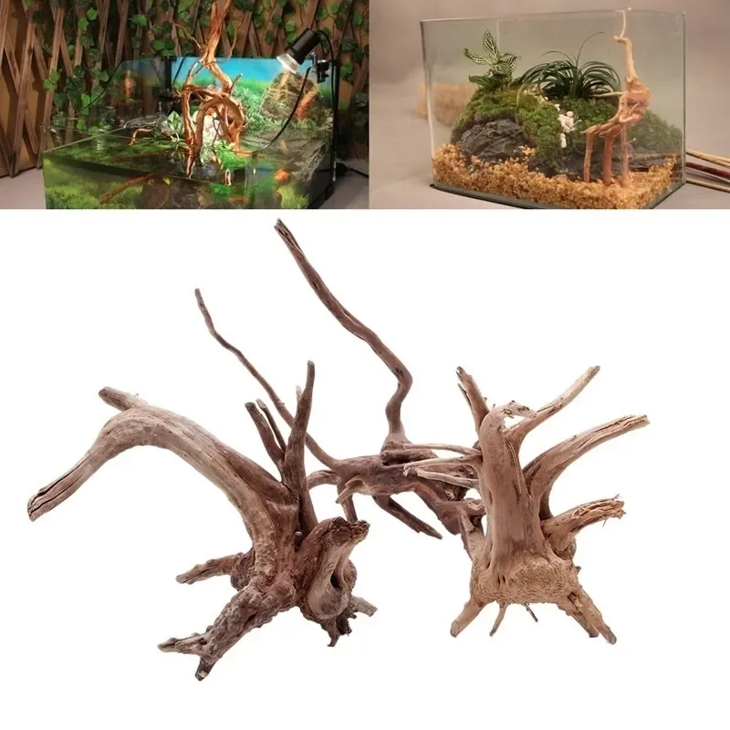 Planted Aquarium With Driftwood - Doğal ağaç gövdesi Driftwood akvaryum balık
