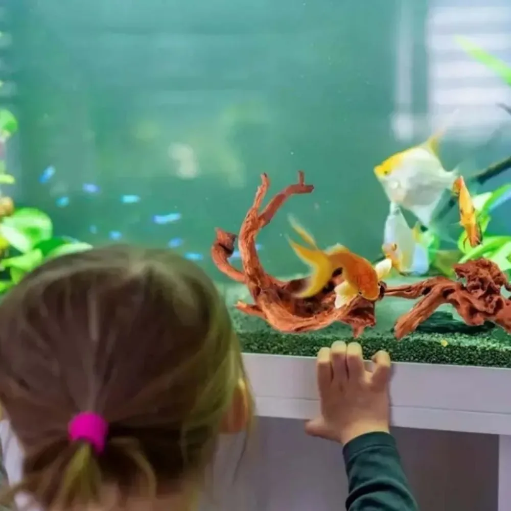 Planted Aquarium With Driftwood - Yeni Doğal Küçük Ağaç Gövdesi Dalgaların