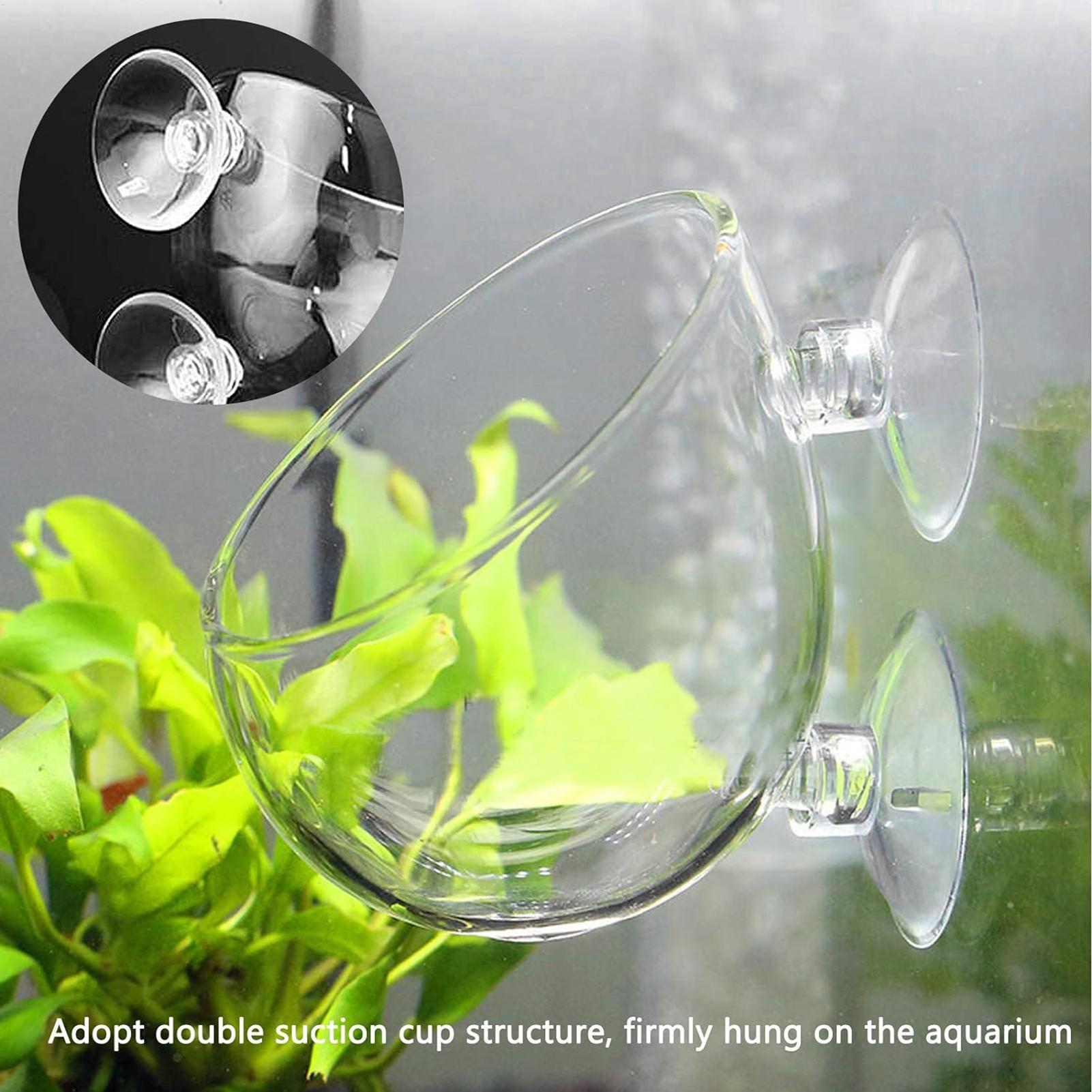 Aquarium Plant Dip - Vakumlu Bardaklı Akvaryum Cam Saksı, Canlı
