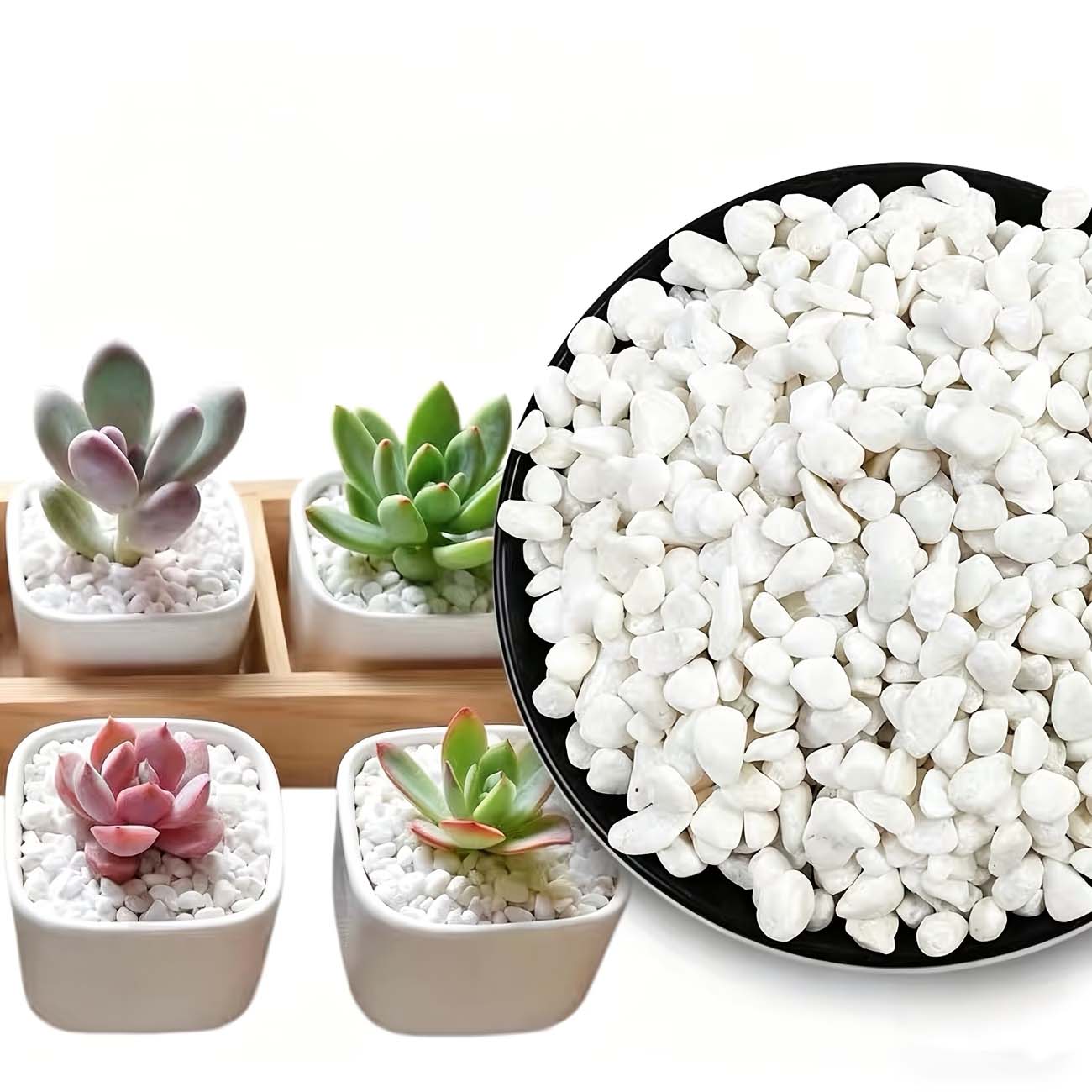 Aquarium Sand White - 100/200G Beyaz Dekoratif Taşlar-Akvaryumlar, Bahçecilik, Kendin