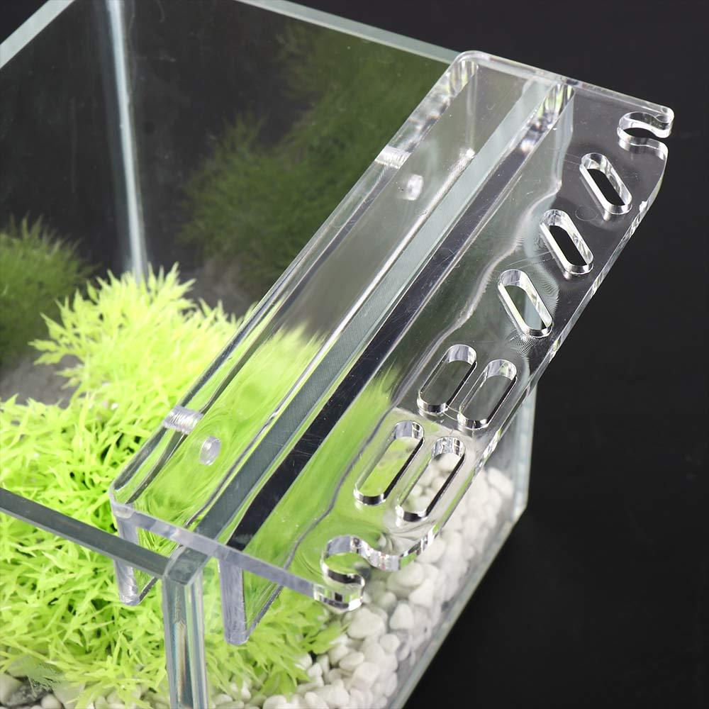 Planted Aquarium Maintenance - Temizlik Aletleri Aksesuarları Saklama Rafı Akvaryum