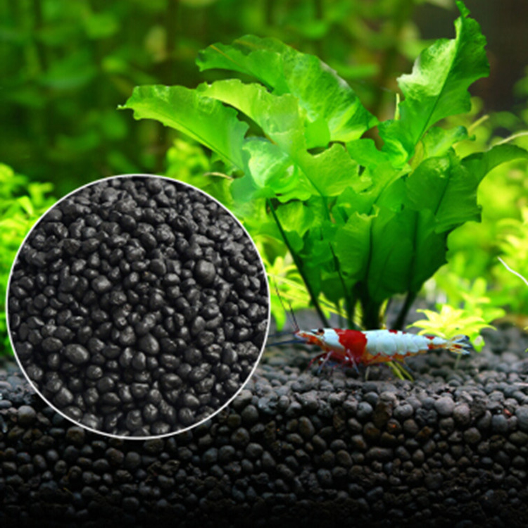 Aquarium Planted Tank - Akvaryum bitki tohumları toprak balık tankı