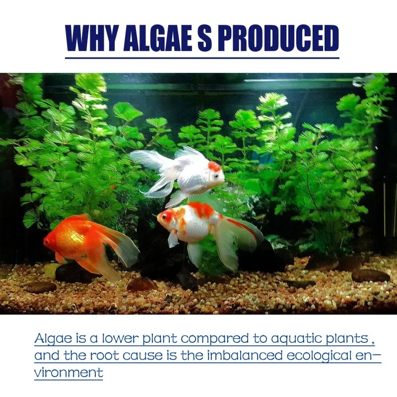 50g Yüksek Etkili Alg İlacı, A - Planted Aquarium Fertilizer incelemesi ve fiyatı