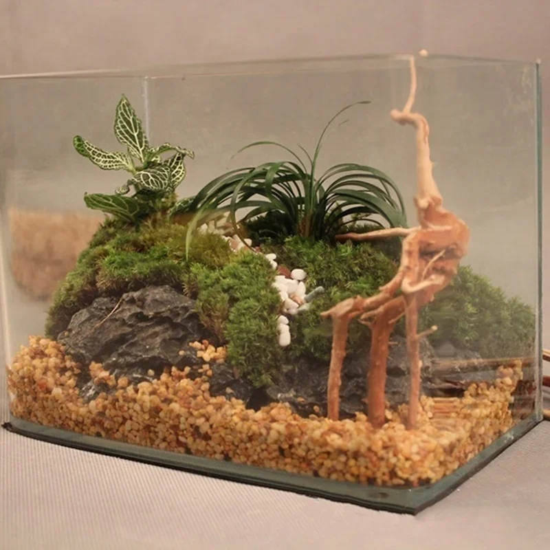 Doğal ağaç gövdesi Driftwood a - Planted Aquarium With Driftwood incelemesi ve fiyatı