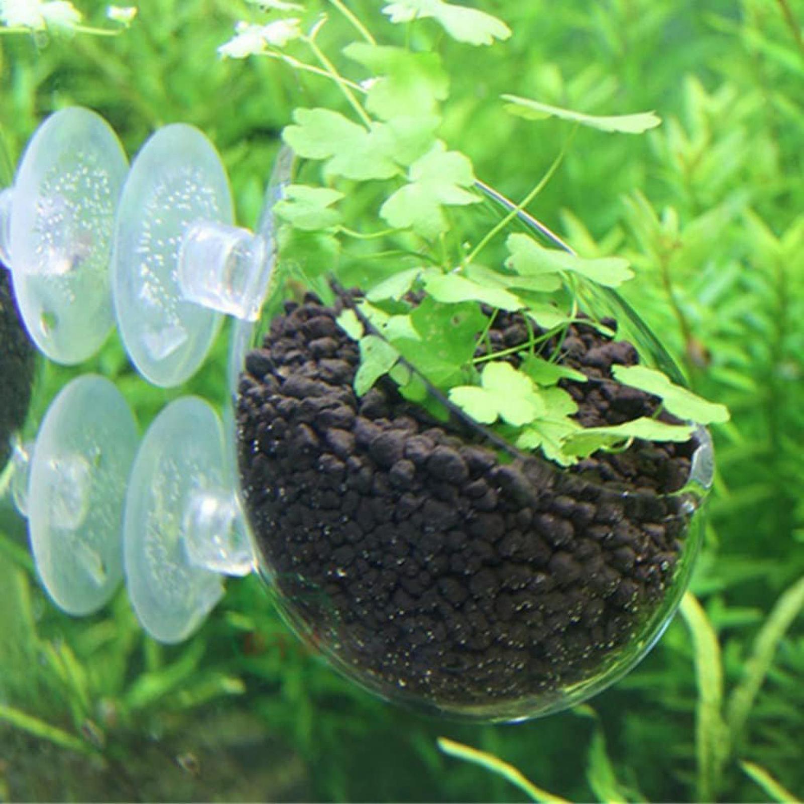 Akvaryum Bitki Tutucu Cam Su B - Aquarium Plant Dip incelemesi ve fiyatı