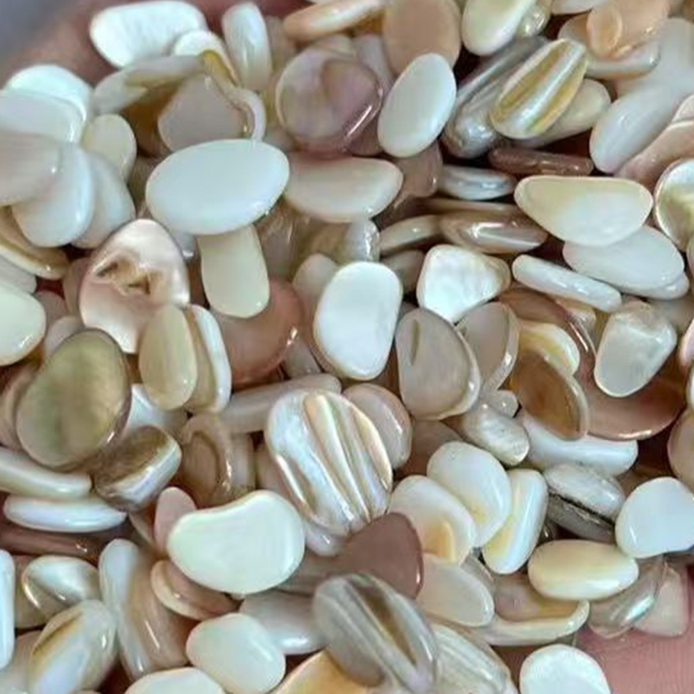 50 adet 4-7mm Delinmemiş Doğal - Aquarium Sand White incelemesi ve fiyatı