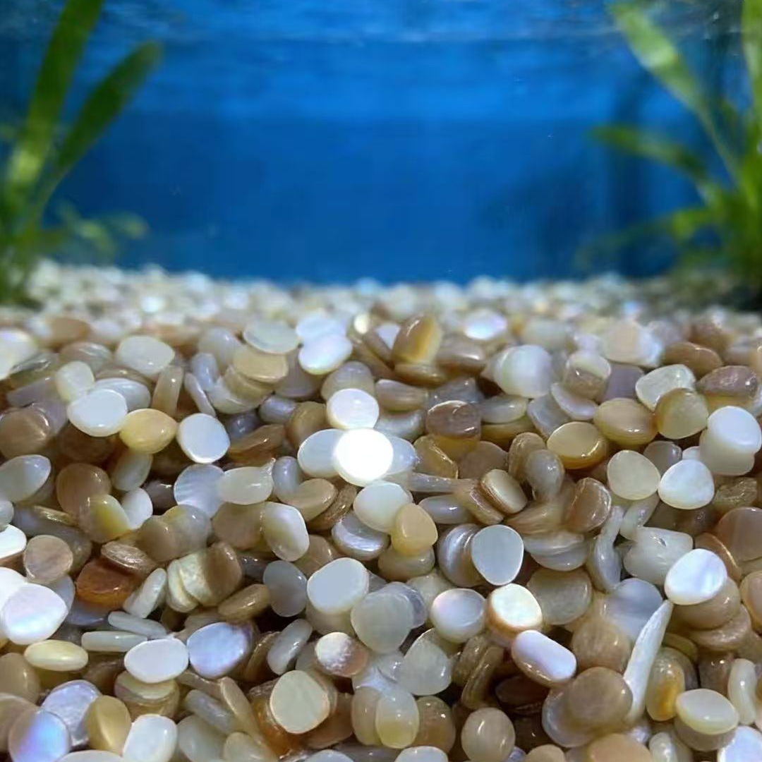 50 adet 4-7mm Delinmemiş Doğal - Aquarium Sand White incelemesi ve fiyatı