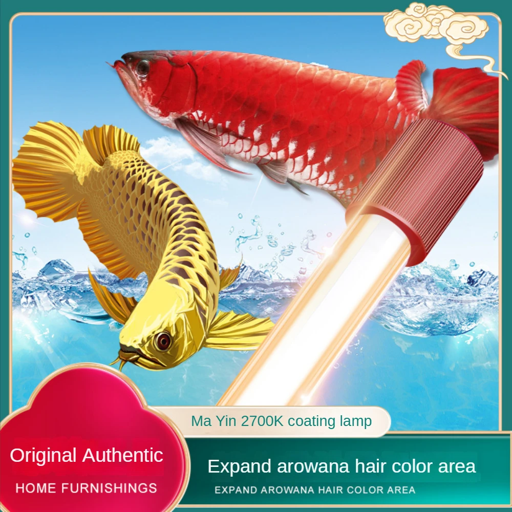 Cam Arowana Balık Tankı Işığı, - Planted Aquarium Yellow Water incelemesi ve fiyatı