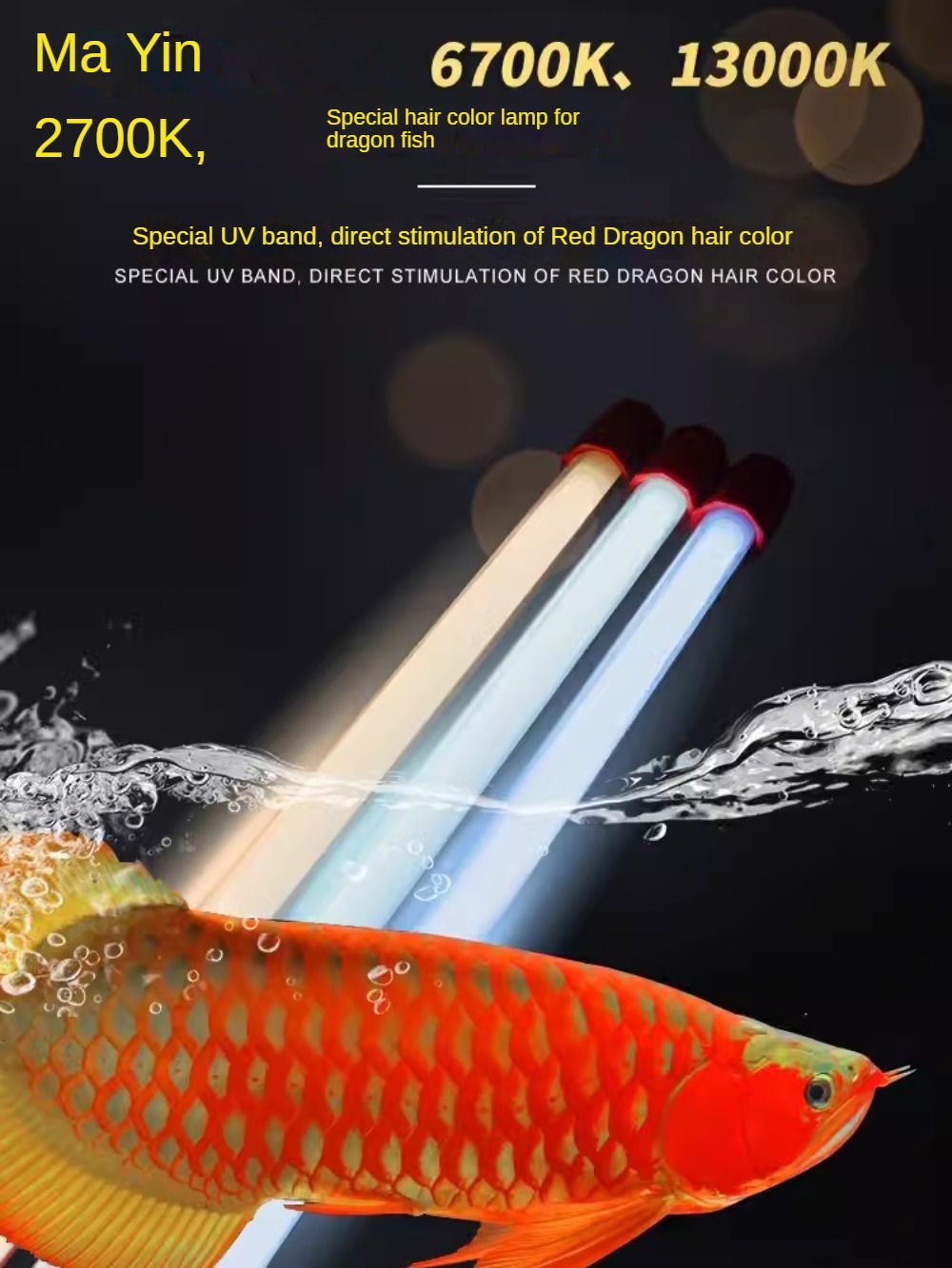 Cam Arowana Balık Tankı Işığı, - Planted Aquarium Yellow Water incelemesi ve fiyatı