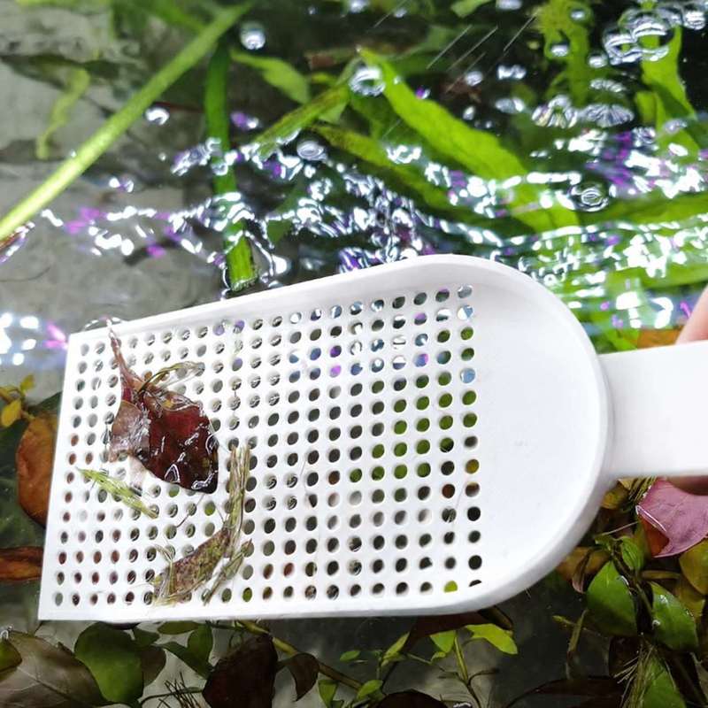 Akvaryum Balık Tankı Kalıntı K - Planted Aquarium Maintenance incelemesi ve fiyatı