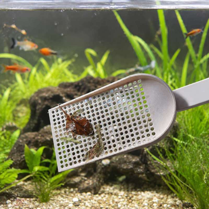 Akvaryum Balık Tankı Kalıntı K - Planted Aquarium Maintenance incelemesi ve fiyatı