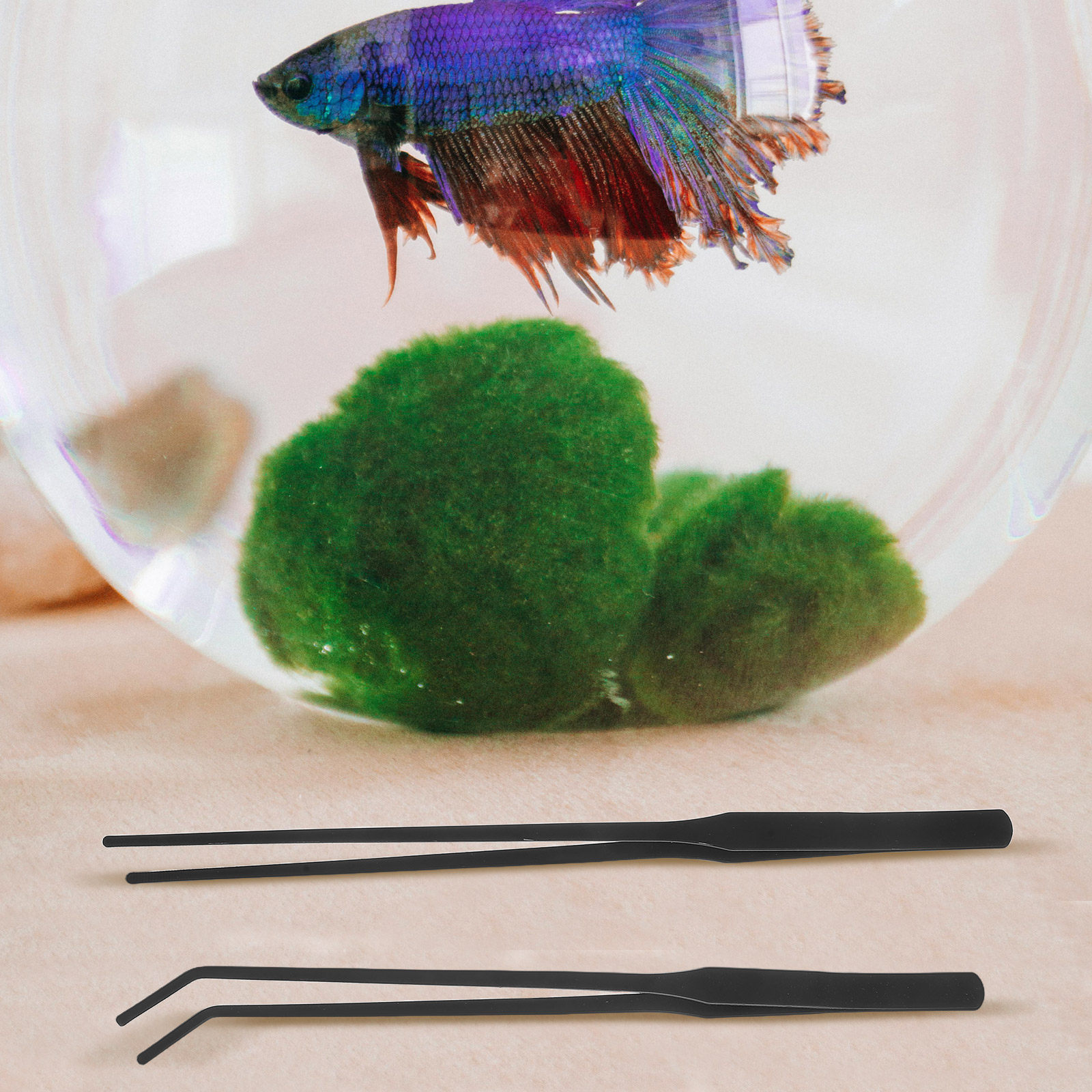4 adet Akvaryum Cımbızı Paslan - Planted Aquarium Maintenance incelemesi ve fiyatı