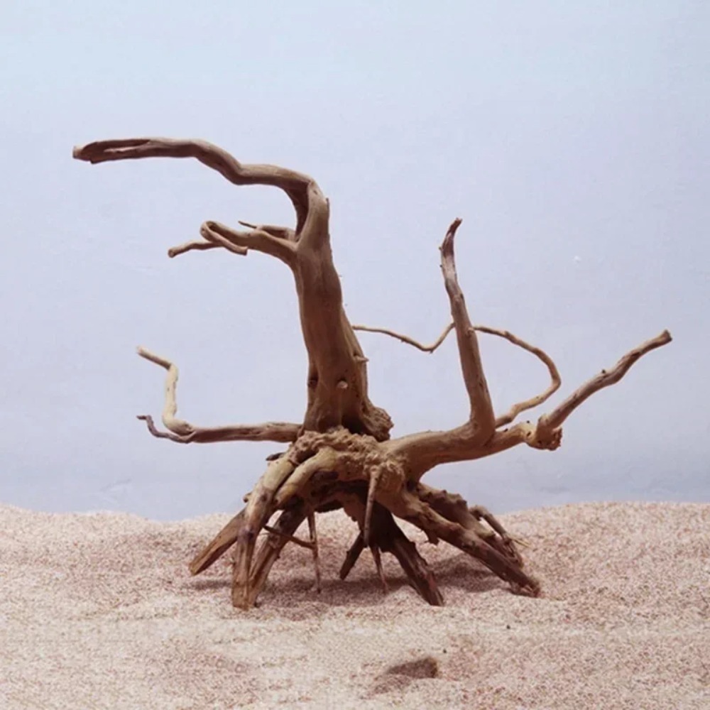 Doğal Ağaç Gövdesi Driftwood A - Planted Aquarium With Driftwood incelemesi ve fiyatı
