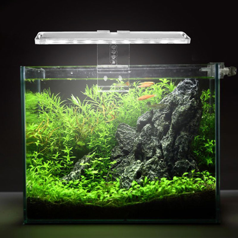 LED akvaryum lamba bitki ışık  - Planted Aquarium Price incelemesi ve fiyatı