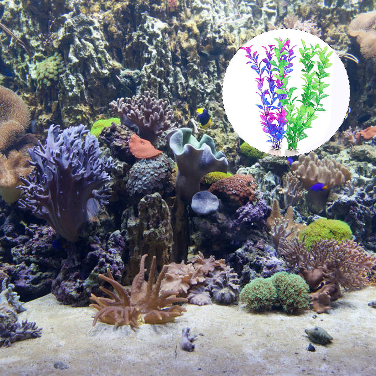 Akvaryum Balık Tankı Dekorasyo - Planted Aquarium Maintenance incelemesi ve fiyatı
