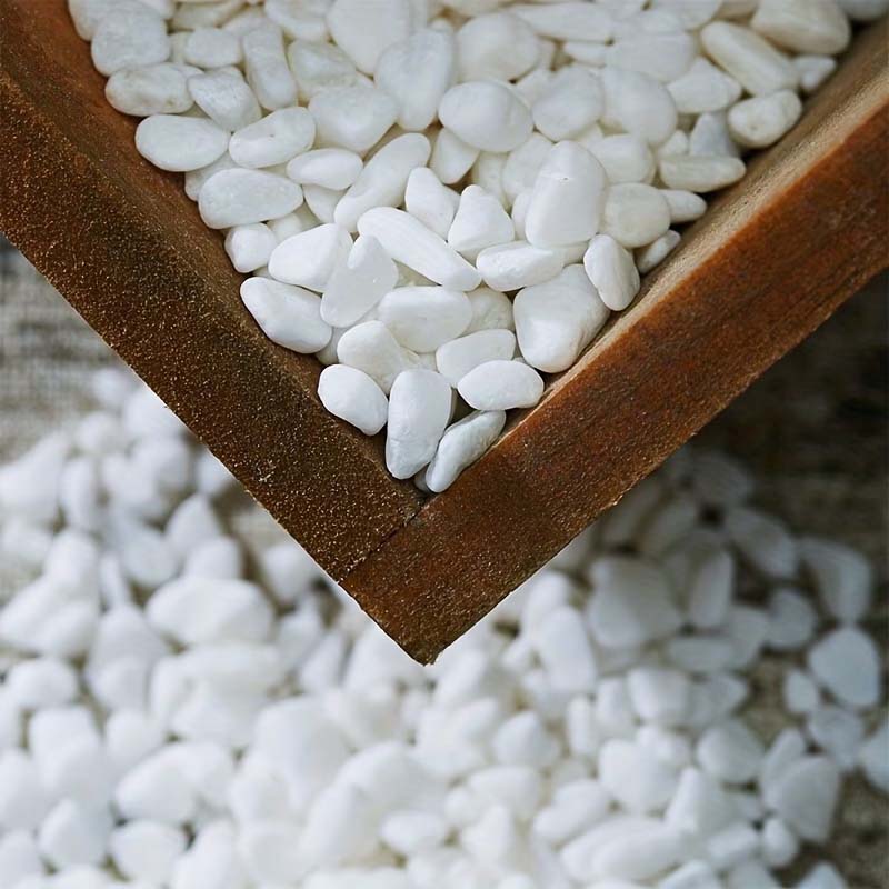 100/200G Beyaz Dekoratif Taşla - Aquarium Sand White incelemesi ve fiyatı