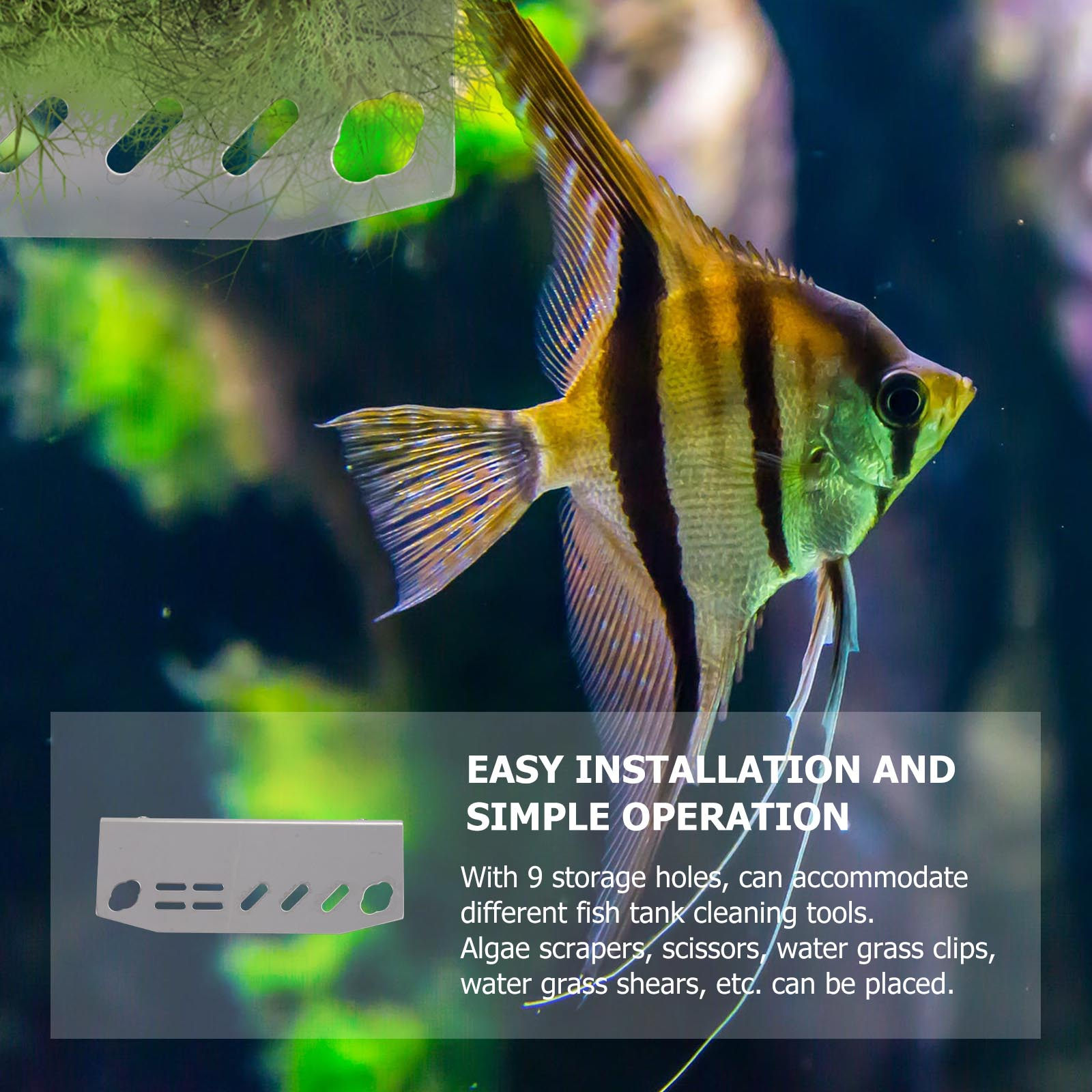 1 Adet Akvaryum Alet Rafı Pasl - Aquarium Planted Tank incelemesi ve fiyatı