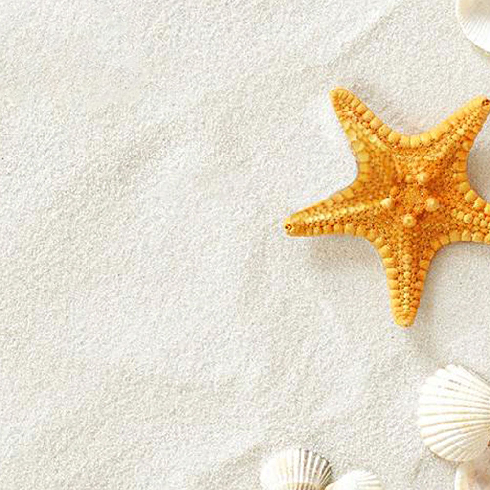 5 Paket Beyaz Güzellik Kumu 80 - Aquarium Sand White incelemesi ve fiyatı
