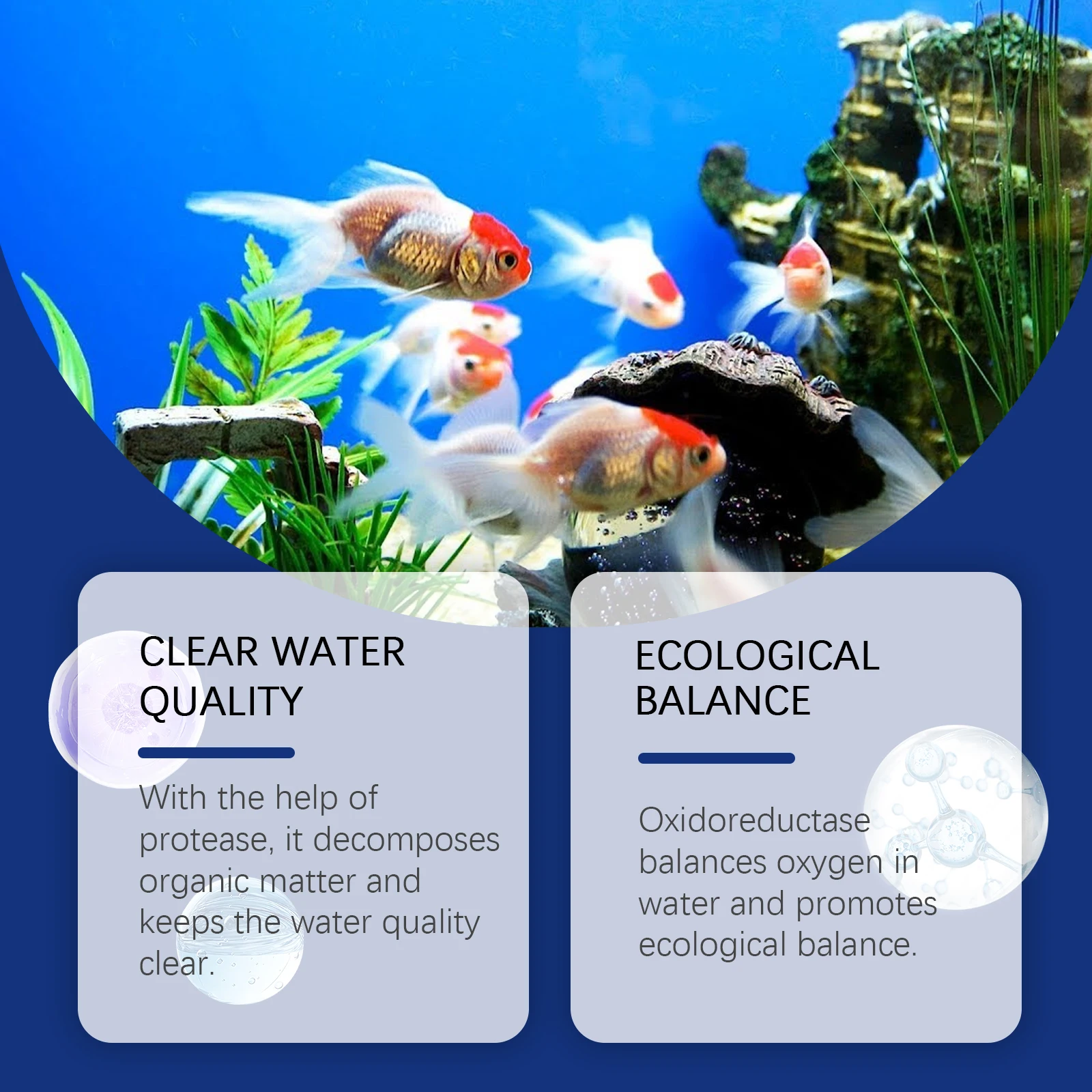 Akvaryum Suyu Arıtıcı Balık Ta - Aquarium Plant Liquid Fertilizer incelemesi ve fiyatı