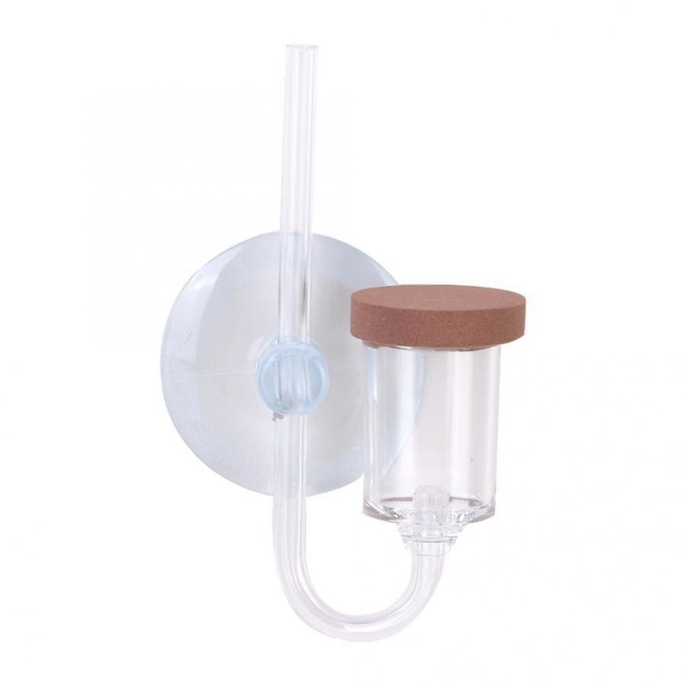 Akrilik Mini Balık Tankı Canlı - Planted Aquarium Maintenance incelemesi ve fiyatı