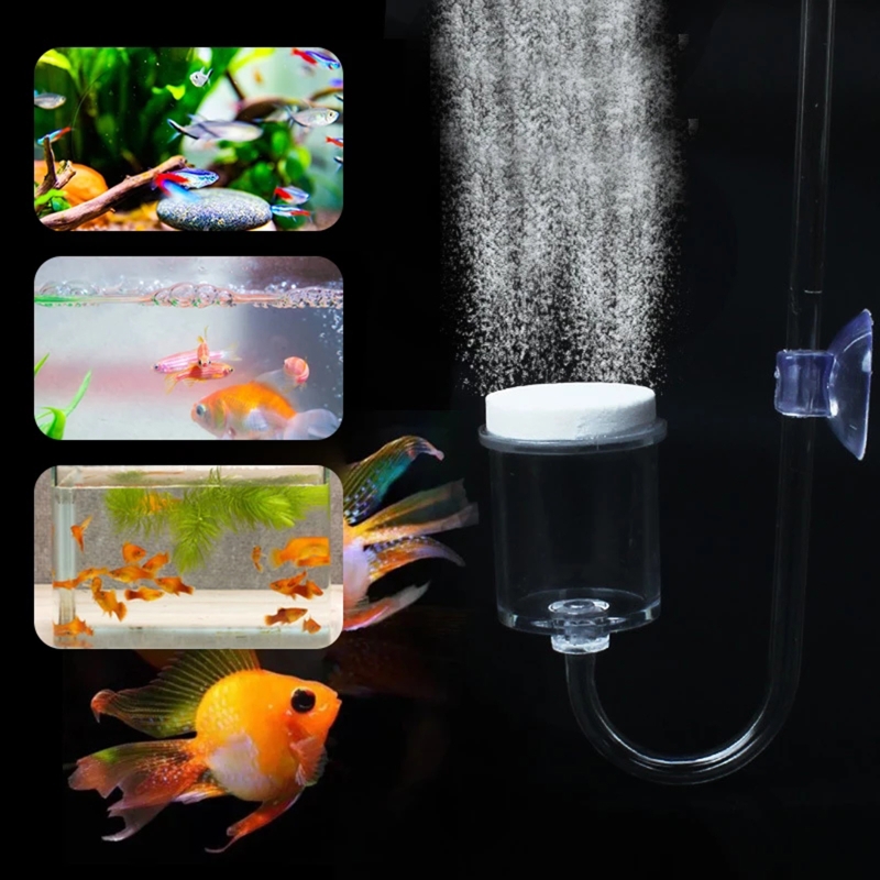 4 adet Set DIY CO2 difüzör içi - Planted Aquarium Maintenance incelemesi ve fiyatı